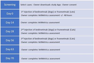 Measuring the effect of the anti-nerve growth factor antibodies bedinvetmab and frunevetmab on quality of life in dogs and cats with osteoarthritis using a validated health-related quality of life outcome measure: an observational real-world study